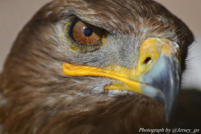 post-48003-0-25149400-1405054631_thumb.j