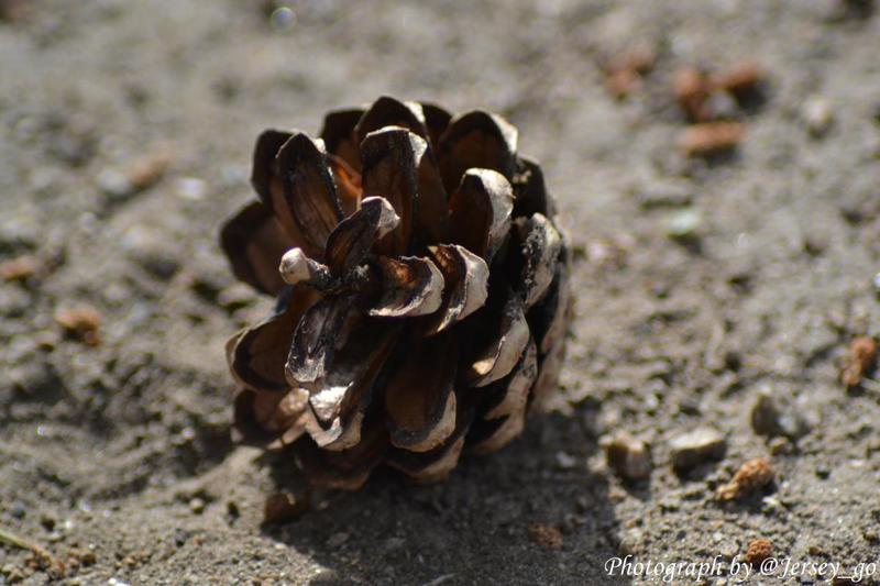 post-48003-0-83149300-1405054652_thumb.j