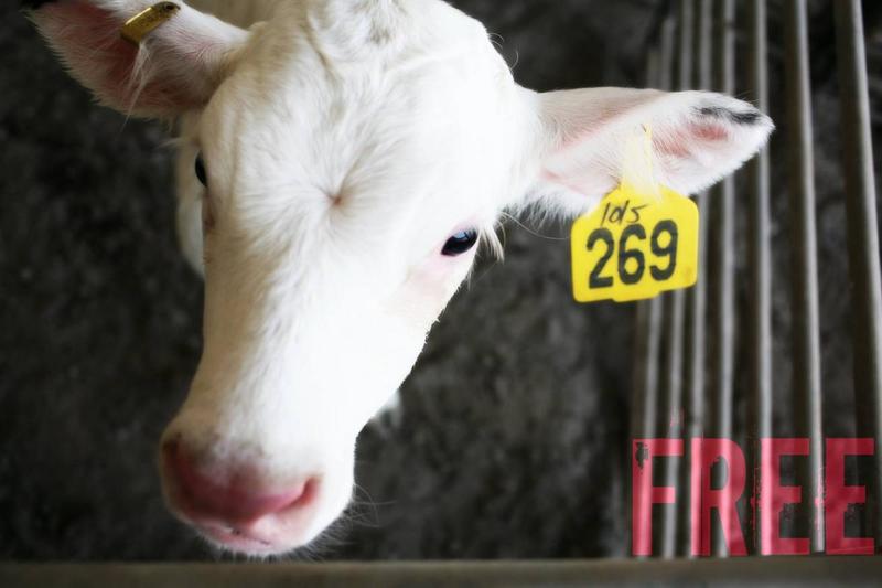 post-56984-0-14935400-1406544161_thumb.j