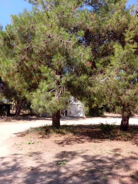 post-63221-0-16164200-1406458766_thumb.j