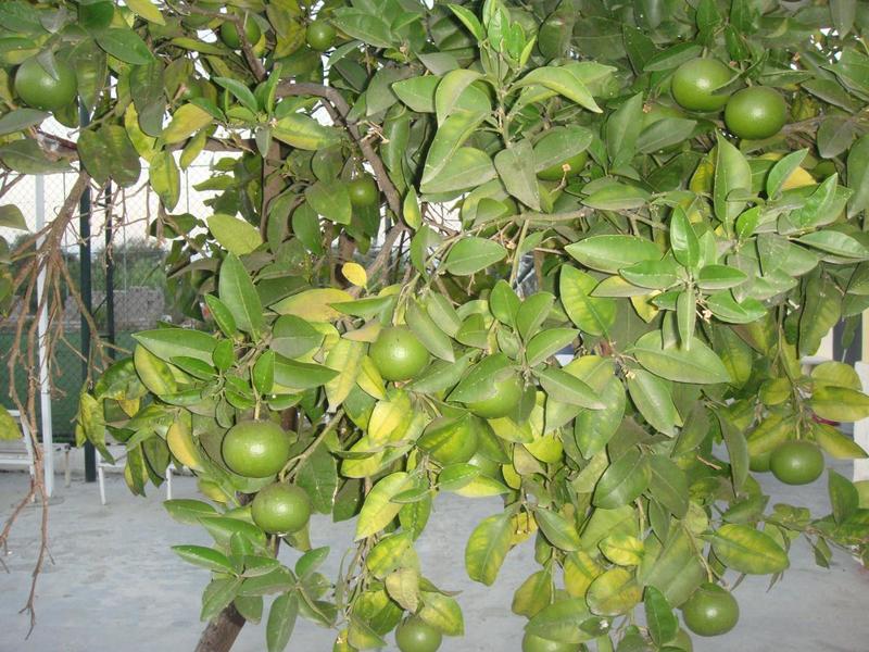 post-63221-0-38771100-1406558886_thumb.j