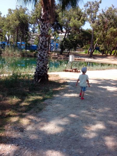 post-63221-0-59516800-1406622013_thumb.j