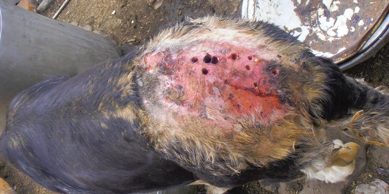 post-65722-0-24725700-1406540960_thumb.j