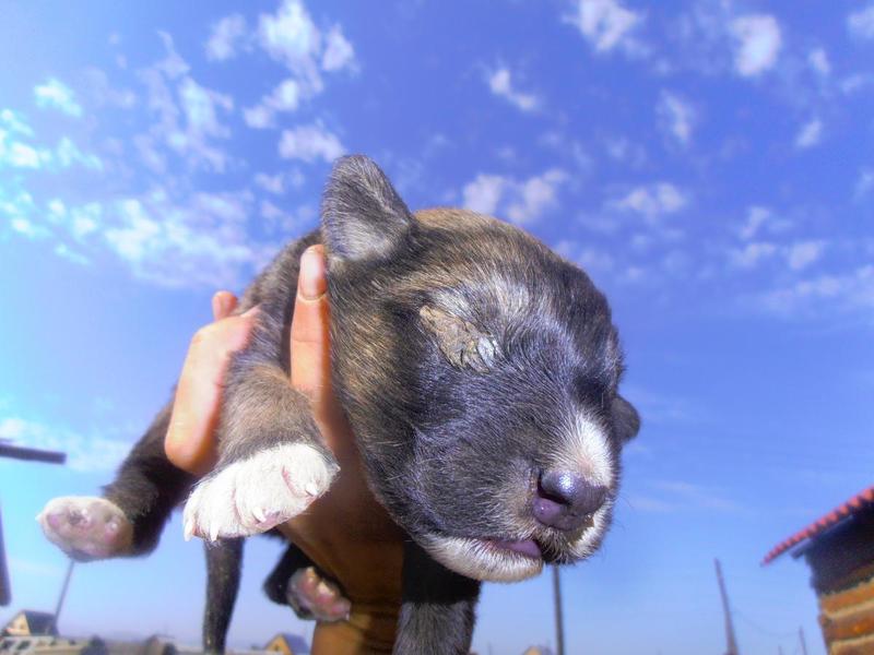 post-65722-0-32711400-1406620181_thumb.j