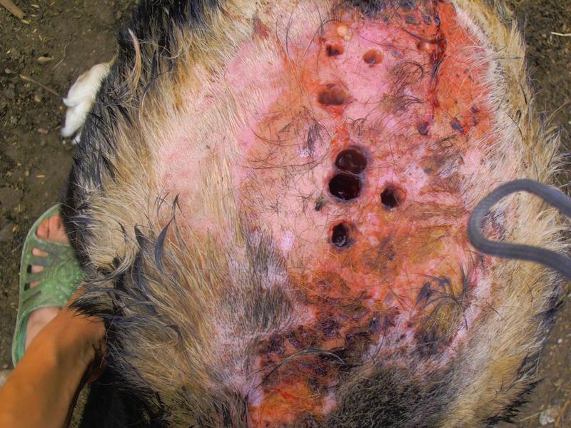 post-65722-0-52546800-1406541122_thumb.j