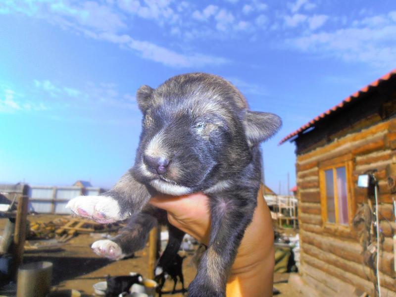 post-65722-0-74697100-1406620054_thumb.j