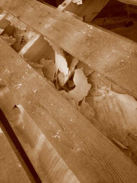 post-72347-0-54205000-1404347139_thumb.j