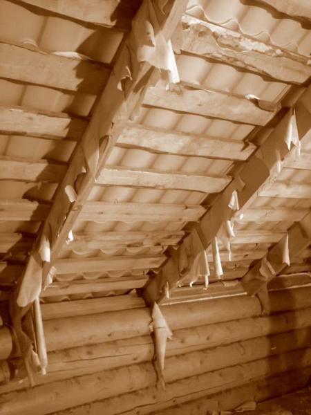 post-72347-0-66546800-1404347106_thumb.j