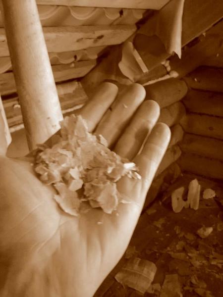 post-72347-0-69830900-1404347114_thumb.j