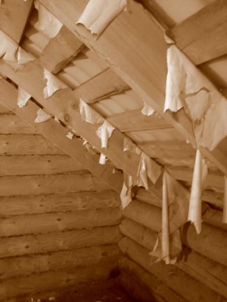 post-72347-0-94165900-1404347121_thumb.j