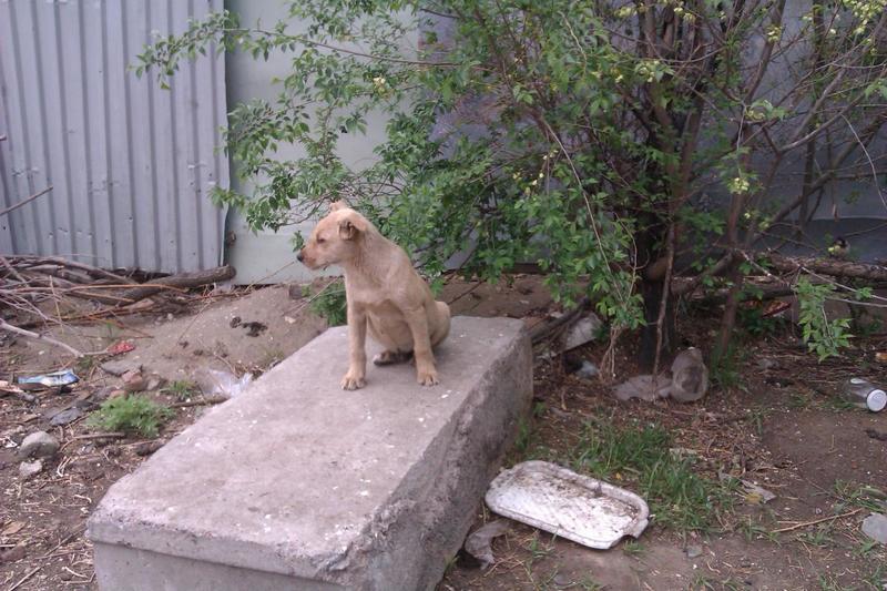 post-22923-0-90392800-1436029891_thumb.j