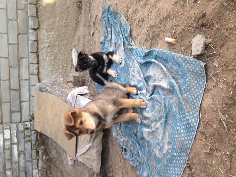 post-53439-0-38738900-1436506356_thumb.j