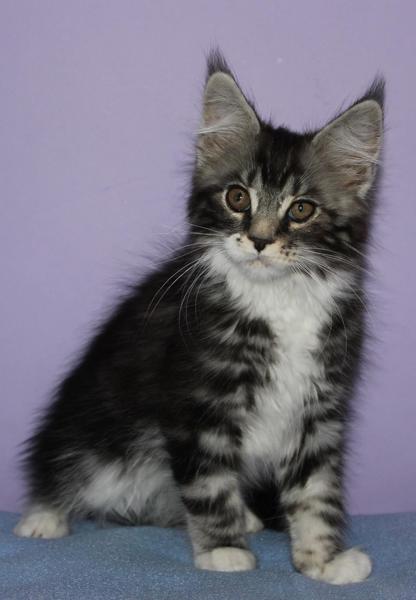 post-54398-0-25530000-1437490147_thumb.j