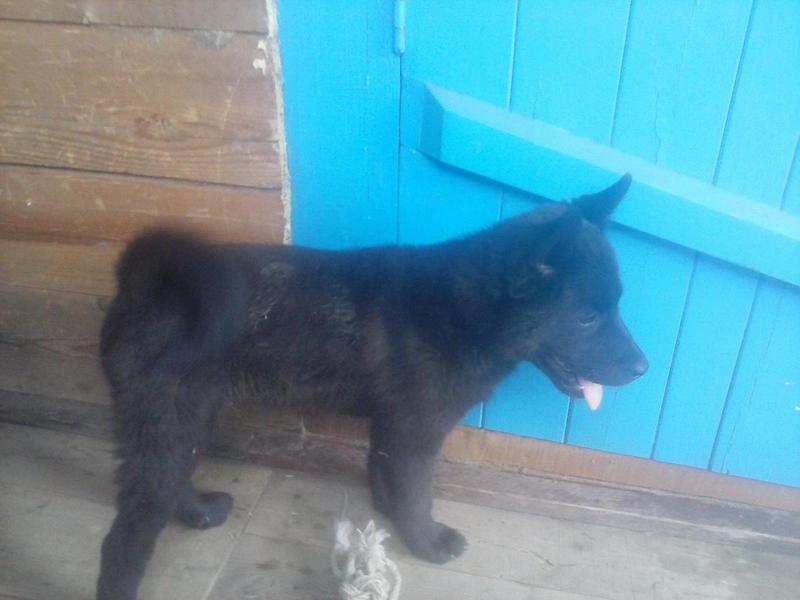 post-66684-0-45896600-1437586457_thumb.j