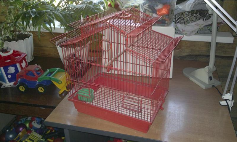 post-10211-0-88788500-1408490553_thumb.j