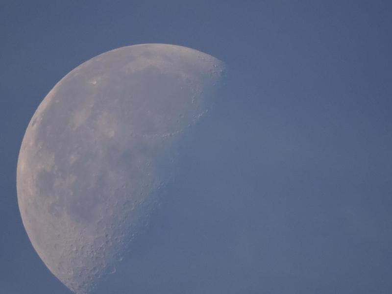 post-1844-0-41789000-1409159222_thumb.jp