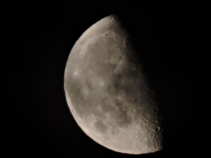 post-1844-0-85388300-1409159217_thumb.jp