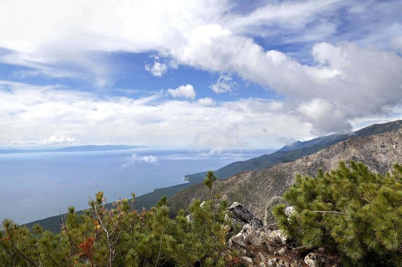 post-27142-0-31202100-1407249547_thumb.j