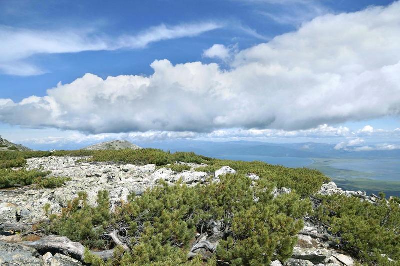 post-27142-0-64421200-1407250017_thumb.j