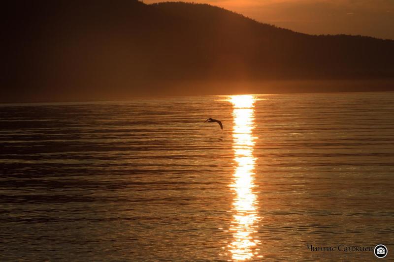 post-29807-0-00323000-1407650721_thumb.j