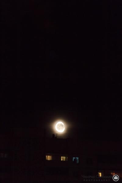 post-29807-0-48753800-1407944705_thumb.j