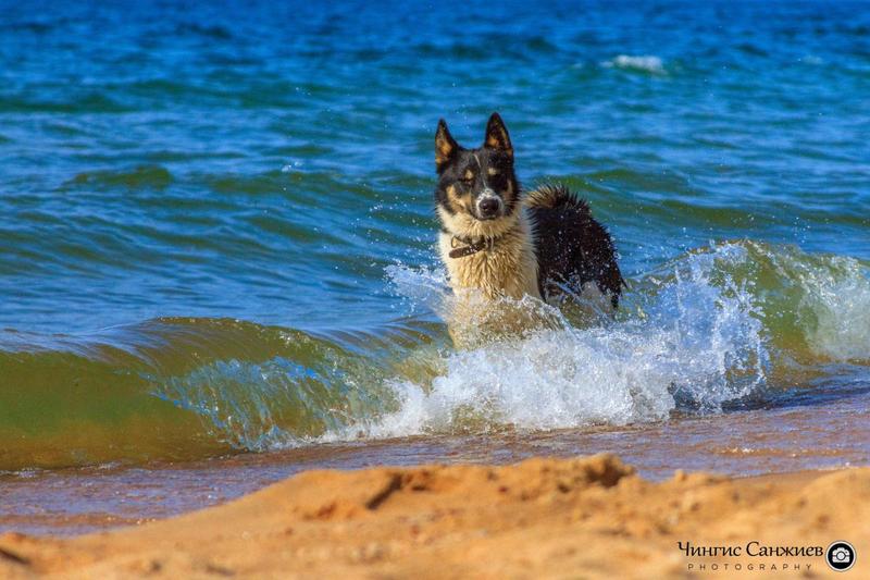 post-29807-0-85491100-1407650641_thumb.j