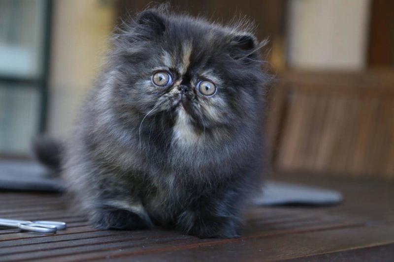 post-3025-0-26044900-1408296640_thumb.jp