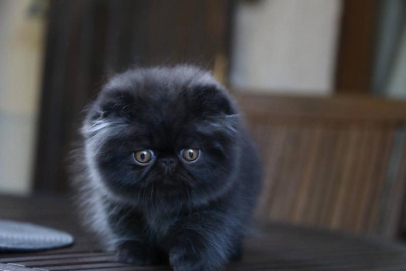 post-3025-0-71139500-1408296598_thumb.jp