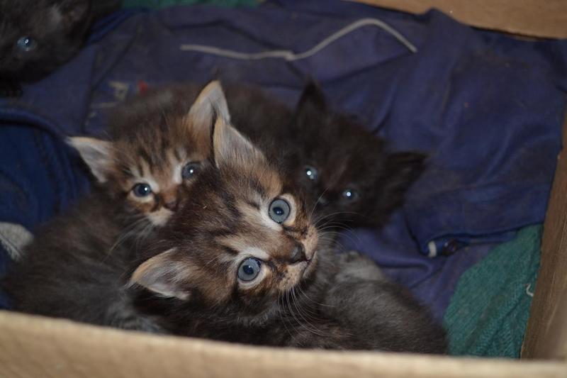 post-34766-0-75313300-1408276865_thumb.j