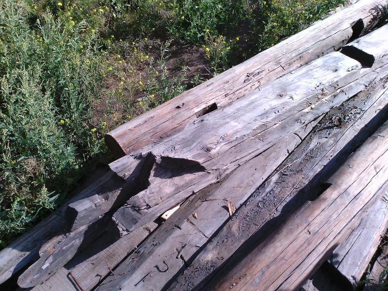 post-48654-0-55488900-1408150682_thumb.j