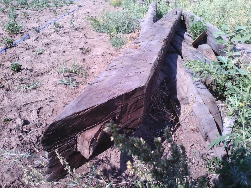 post-48654-0-85737400-1408150723_thumb.j