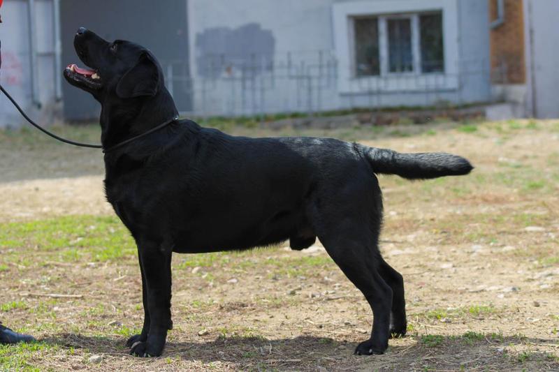 post-51779-0-12081300-1408714464_thumb.j