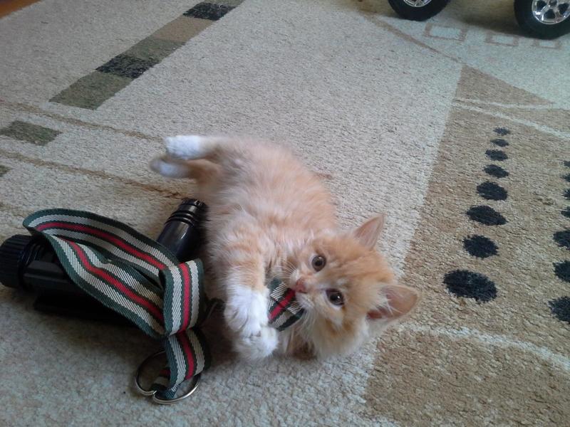 post-79204-0-84726800-1409494434_thumb.j