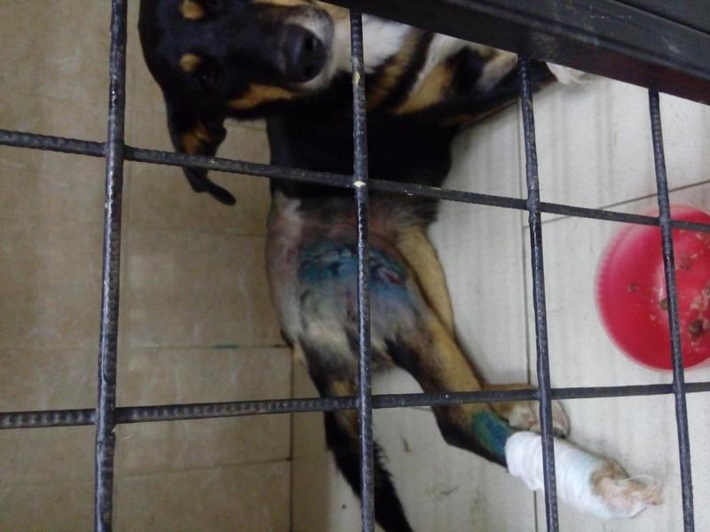 post-15562-0-00792900-1440464501_thumb.j