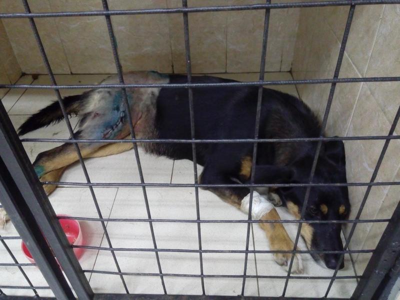 post-15562-0-41883600-1440464565_thumb.j