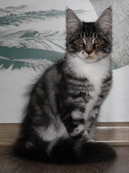 post-54398-0-98252000-1440999442_thumb.j