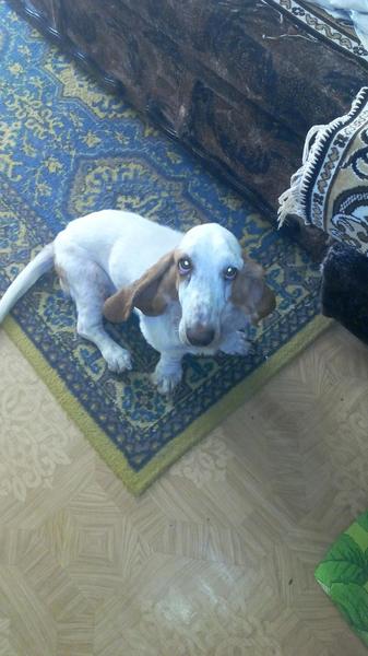 post-66684-0-02080400-1438610208_thumb.j