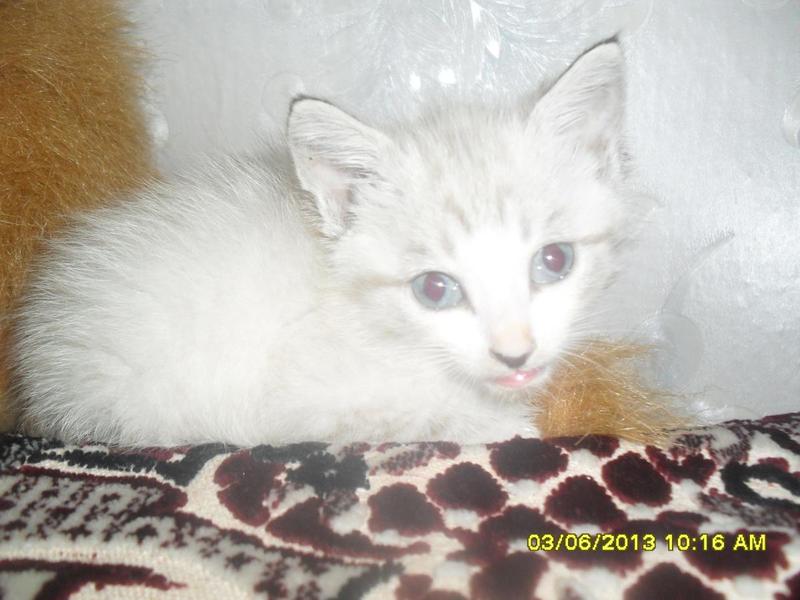 post-66684-0-49686000-1438609985_thumb.j