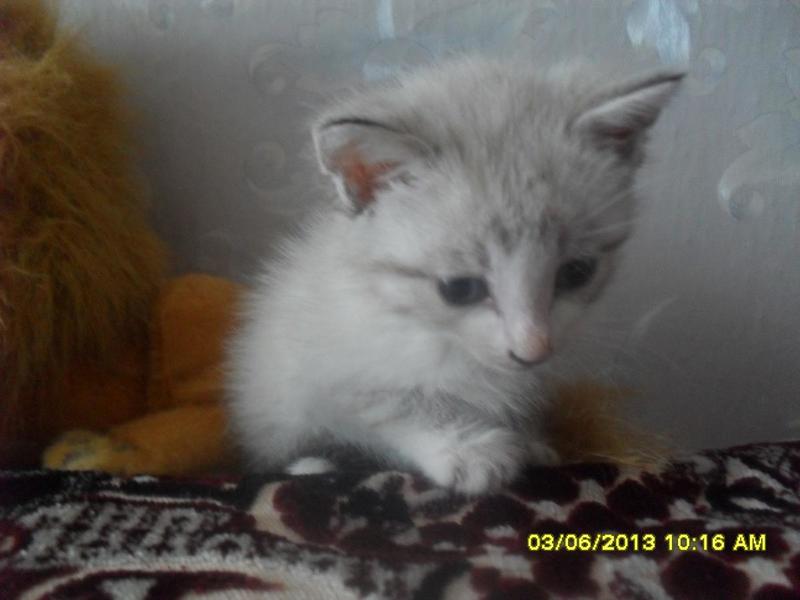 post-66684-0-85769100-1438609986_thumb.j