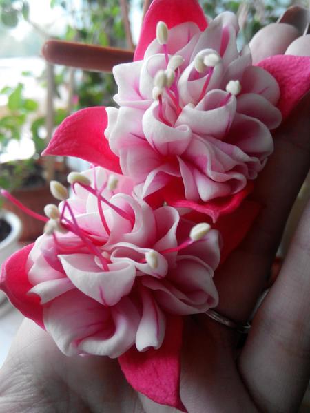 post-38362-0-50645400-1410064460_thumb.j