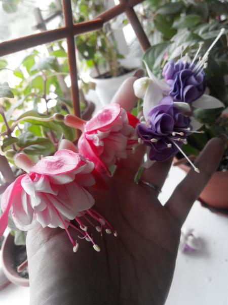 post-38362-0-73128000-1410064496_thumb.j