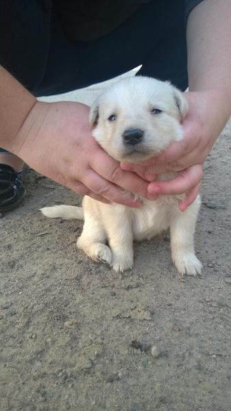 post-46493-0-43533700-1410845836_thumb.j