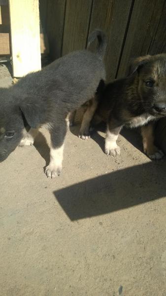 post-46493-0-68398500-1410845996_thumb.j