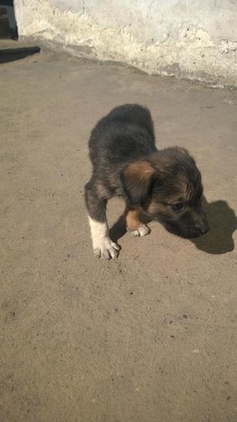 post-46493-0-73050800-1410845945_thumb.j