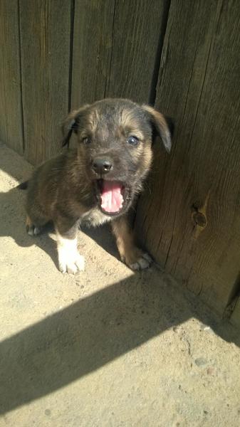 post-46493-0-77265100-1410846081_thumb.j