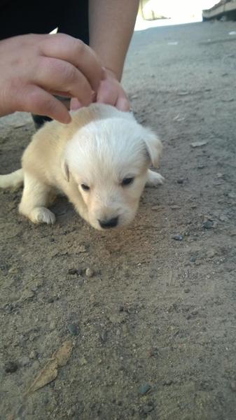 post-46493-0-99820700-1410845890_thumb.j