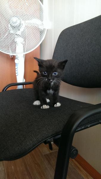 post-53479-0-26433400-1409641064_thumb.j