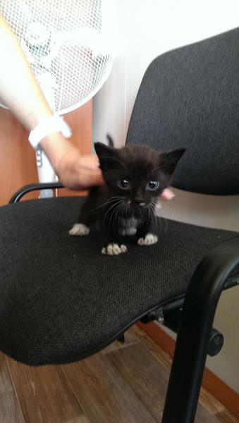 post-53479-0-86604600-1409641056_thumb.j