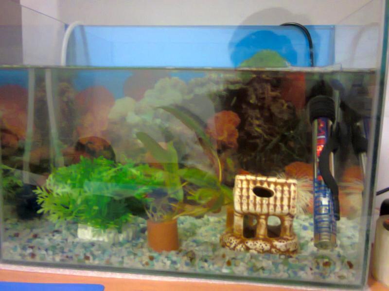 post-55213-0-90144400-1411049310_thumb.j