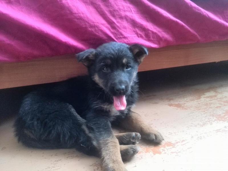 post-56856-0-40278500-1410836086_thumb.j